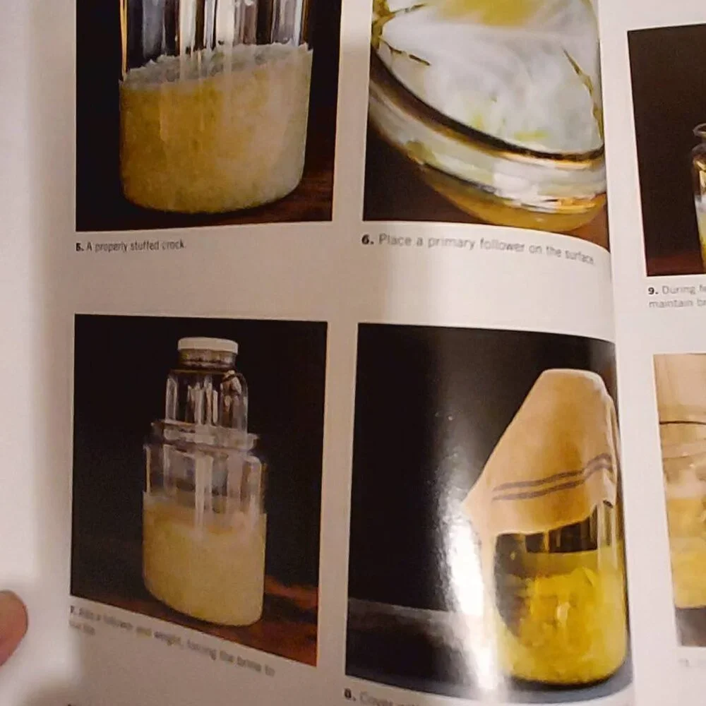Fermented Vegetably